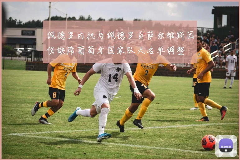 佩德罗内托与佩德罗贡萨尔维斯因伤缺席葡萄牙国家队大名单调整