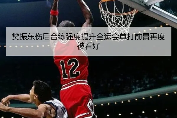 樊振东伤后合练强度提升全运会单打前景再度被看好 - YaboSports